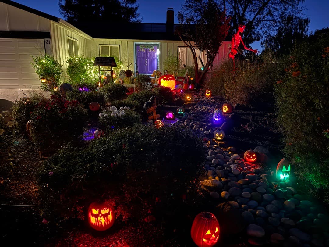Full Moon Pumpkin Patch: 100 jack-o'-lanterns for charity