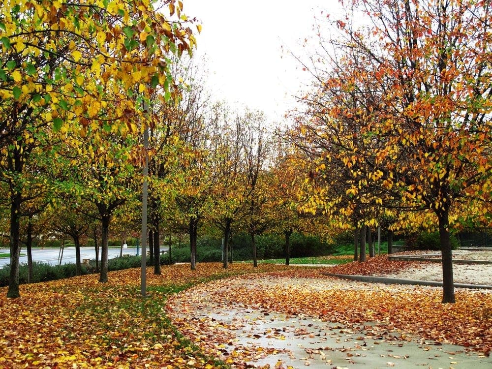 Ted Fairfield Park