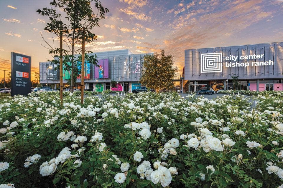 Bishop Ranch Farmers Market