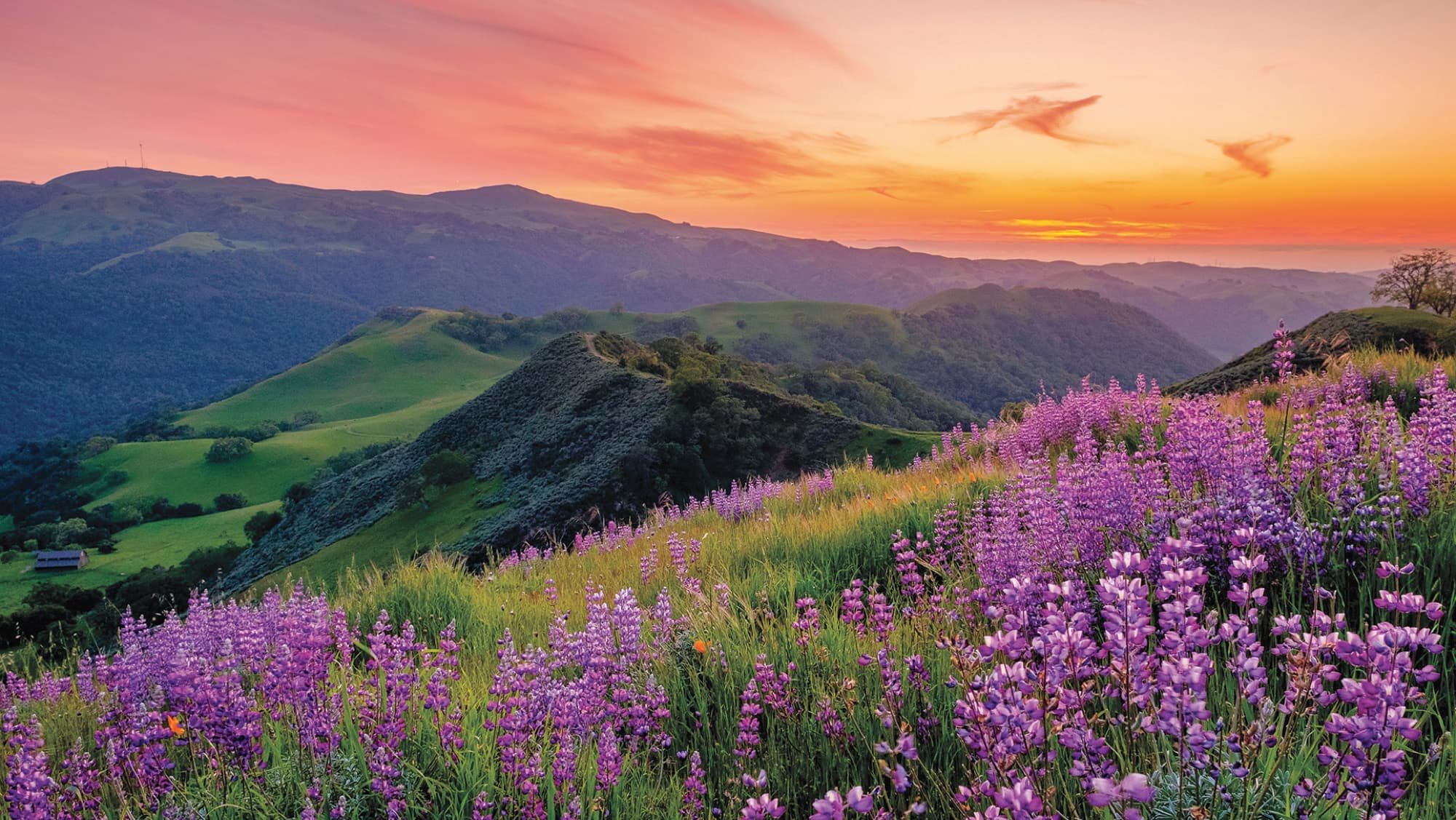 Sunol Regional Wilderness (Little Yosemite)